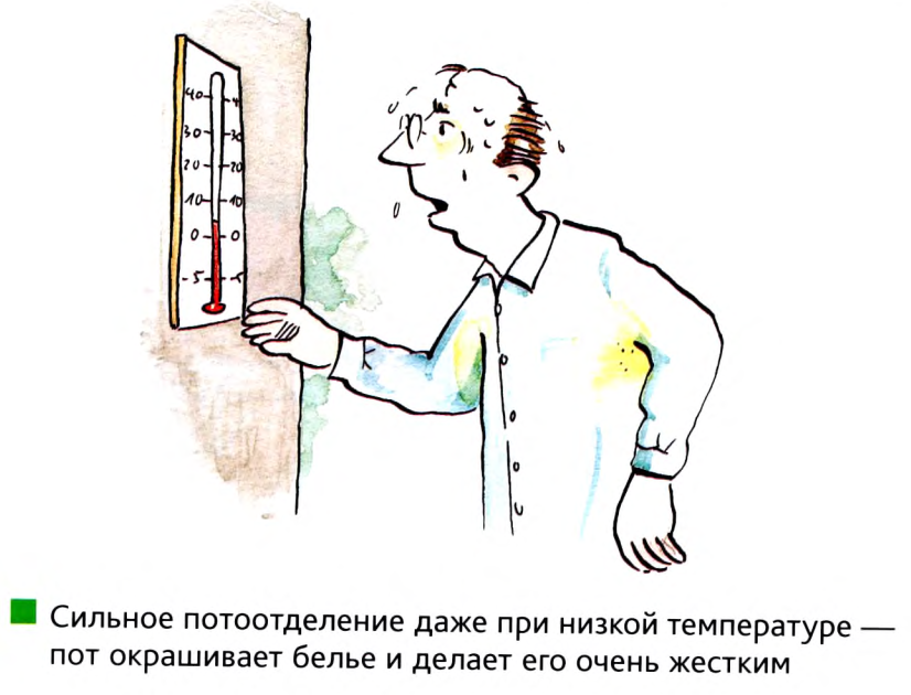 Изображение 12