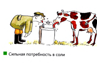 Изображение 9