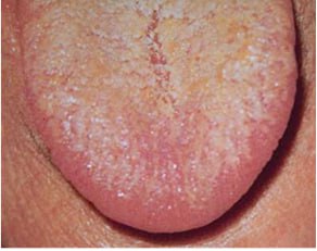 Характеристика