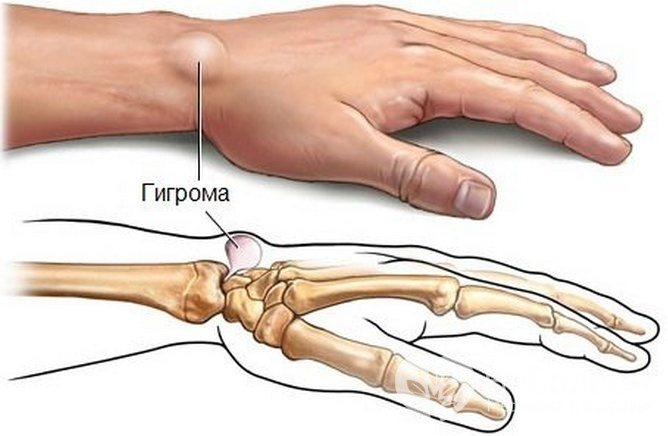 Характеристика