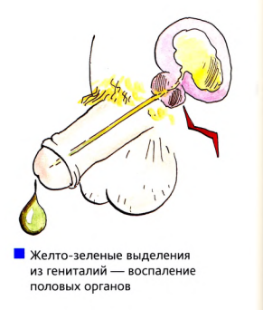 Изображение 10